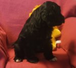 Annabeth2.jpg